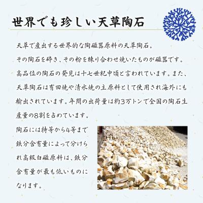 ふるさと納税 天草市 高浜焼寿芳窯 ソリ六兵衛お茶碗2個セット(小)_S026-022の画像