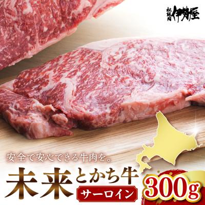 ふるさと納税 芽室町 北海道十勝芽室町 未来とかち牛サーロイン 300g me073-001c