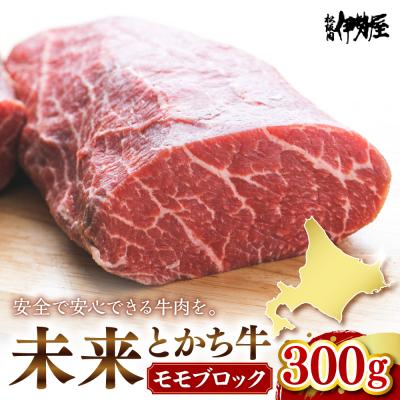 ふるさと納税 芽室町 北海道十勝芽室町 未来とかち牛モモブロック 300g me073-006c