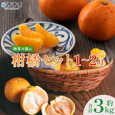 ふるさと納税 西予市 [先行受付]<無茶々園柑橘セット 約3kg(1〜2月)> フルーツ くだもの 伊予柑 いよかん