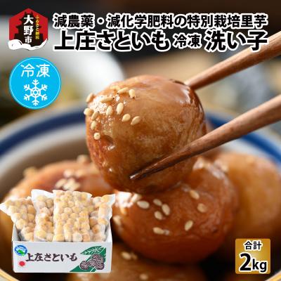 ふるさと納税 大野市 [冷凍里芋]上庄さといも 冷凍 洗い子 2kg(500g × 4袋)