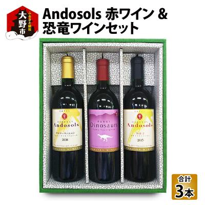 ふるさと納税 大野市 Andosols赤ワイン&amp;恐竜ワインセット