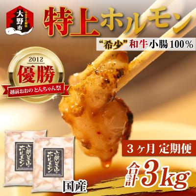 ふるさと納税 大野市 [3ヶ月定期便]とんちゃん祭2012年優勝!ホルモン1kg(500g×2袋)×3回