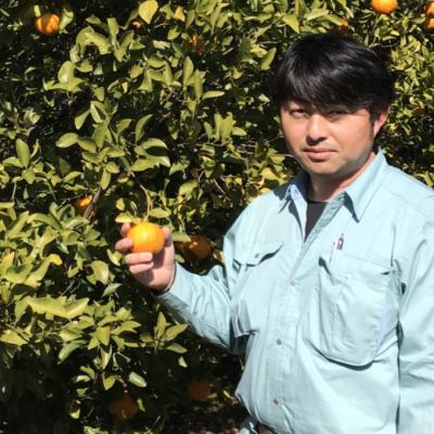 ふるさと納税 室戸市 【2月上旬からお届け】 越年完熟 室戸 ポンカン 【2.5kg】 |  | 01
