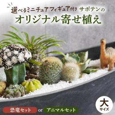 ふるさと納税 小牧市 サボテンのオリジナル寄せ植え(大)【恐竜セット
