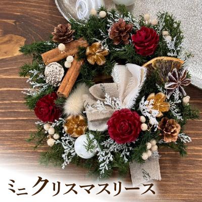 ふるさと納税 小牧市 ミニクリスマスリース [133O14]