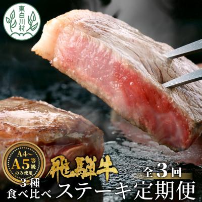 ふるさと納税 東白川村 飛騨牛 ステーキ定期便 全3回 A5 A4 ステーキソース リブロース もも サーロイン ステーキ
