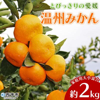 ふるさと納税 西予市 <とびっきりの愛媛 みかん 約2kg(家庭用大小混合)> 訳あり 家庭用 果物