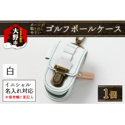 ふるさと納税 大野市 [5色から選べる]ボールが取出しやすい ゴルフボールケース 白