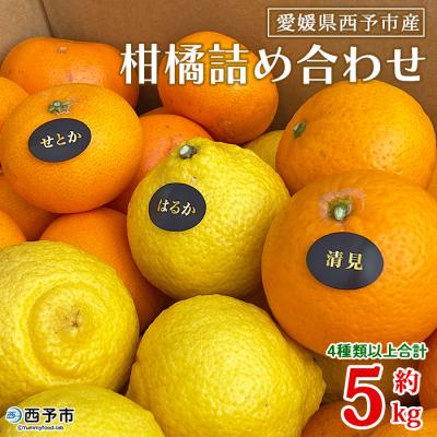 ふるさと納税 西予市 夕焼け山農園 愛媛県西予市産柑橘詰め合わせ 5kg