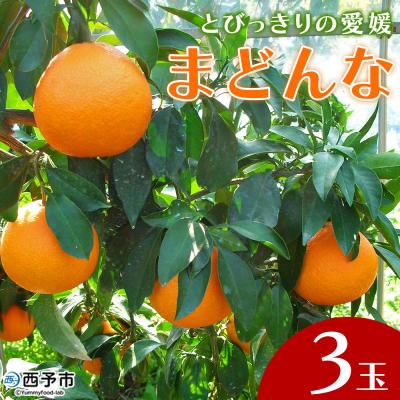 ふるさと納税 西予市 とびっきりの愛媛片山果樹園 まどんな(3玉)