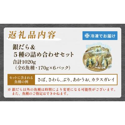 ふるさと納税 石巻市 銀だら 西京漬け セット 約1kg 焼くだけ 惣菜 冷凍 6種 |  | 03