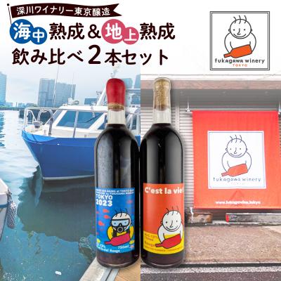 ふるさと納税 江東区 深川ワイナリー東京醸造・[海中熟成&amp;地上熟成飲み比べ2本セット][kt009-001]