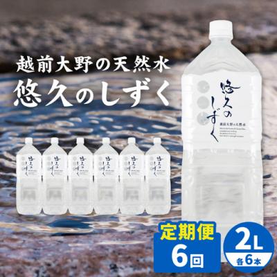 ふるさと納税 大野市 [6ヶ月連続お届け] < 定期便 >越前大野の天然水 悠久のしずく PET2L×6本 計36本