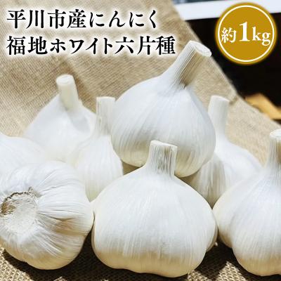 ふるさと納税 平川市 [平川市産にんにく]福地ホワイト六片種 約1kg