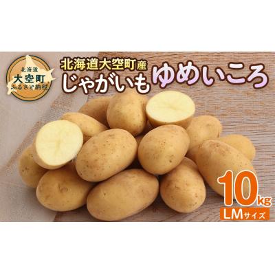 ふるさと納税 大空町 【先行予約】じゃがいも(ゆめいころ)LMサイズ 10kg 大空町産(2026年10月以降順次発送) | 