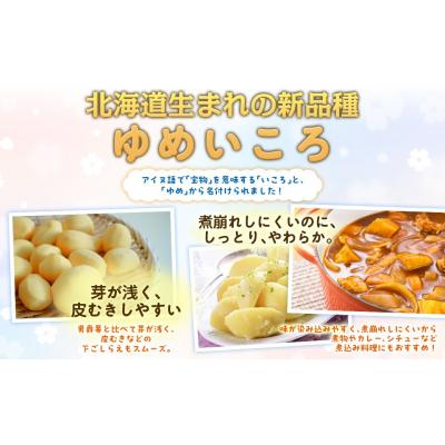 ふるさと納税 大空町 【先行予約】じゃがいも(ゆめいころ)LMサイズ 10kg 大空町産(2026年10月以降順次発送) |  | 02