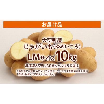 ふるさと納税 大空町 【先行予約】じゃがいも(ゆめいころ)LMサイズ 10kg 大空町産(2026年10月以降順次発送) |  | 03