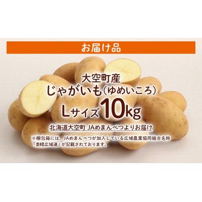 ふるさと納税 大空町 【先行予約】じゃがいも(ゆめいころ) Lサイズ 10kg 大空町産(2026年10月以降順次発送) |  | 03