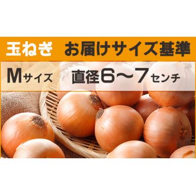ふるさと納税 大空町 【先行予約】玉ねぎ Mサイズ 20kg 大空町産(2026年10月上旬より発送)の画像