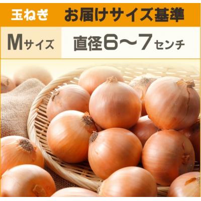 ふるさと納税 大空町 【先行予約】玉ねぎ Mサイズ 20kg 大空町産(2026