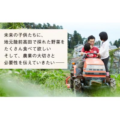 ふるさと納税 陸前高田市 【定期便6ヶ月】訳あり 野菜セット 約3〜4種類 農家のおすそわけ ひころいちファーム |  | 02