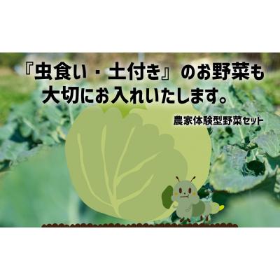 ふるさと納税 陸前高田市 【定期便6ヶ月】訳あり 野菜セット 約3〜4種類 農家のおすそわけ ひころいちファーム |  | 03
