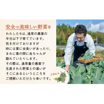 ふるさと納税 陸前高田市 訳あり 野菜セット 約3〜4種類 農家のおすそわけ ひころいちファーム |  | 01