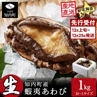 ふるさと納税 知内町 [2026年12月発送先行受付]北海道 知内産 天然かつあわび約1kg(M〜L詰め合わせ)