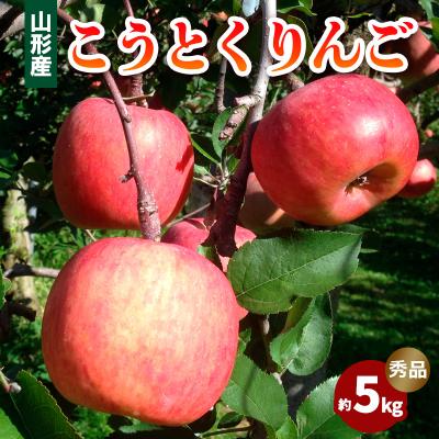 ふるさと納税 山形市 山形市産 こうとくりんご 5kg FZ20-521