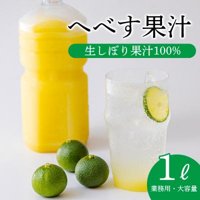 ふるさと納税 高原町 宮崎の特産柑橘へべすの手搾り果汁1L(業務用)