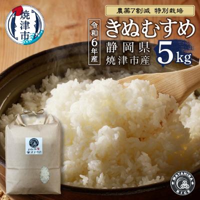 ふるさと納税 焼津市 令和6年産 特別栽培 きぬむすめ 白米5kg(a25-059)
