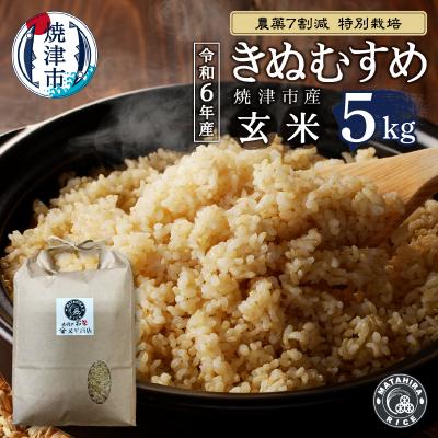 ふるさと納税 焼津市 令和6年産 特別栽培 きぬむすめ 玄米 5kg(a25-060)
