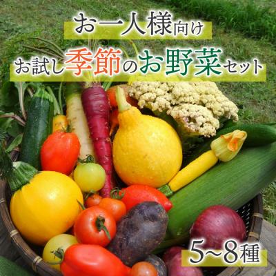 ふるさと納税 東御市 [アグロノーム]季節のお野菜セット(お一人様向け)|5〜8種類の野菜詰め合わせ