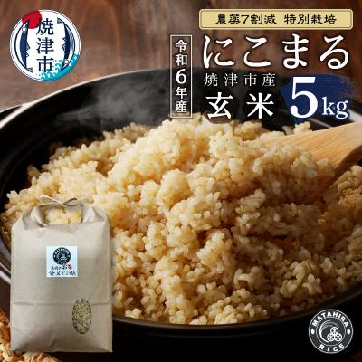ふるさと納税 焼津市 令和6年産 特別栽培 にこまる 玄米 5kg(a25-062)