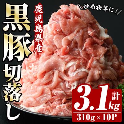 ふるさと納税 いちき串木野市 鹿児島県産 恵味の黒豚 切落しセット 310g×10パック 計3.1kg
