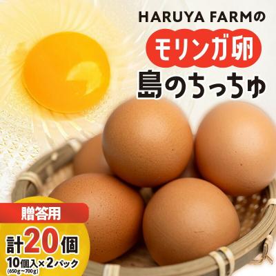 ふるさと納税 和泊町 [贈答用]HARUYA FARMのモリンガ卵「島のちっちゅ」