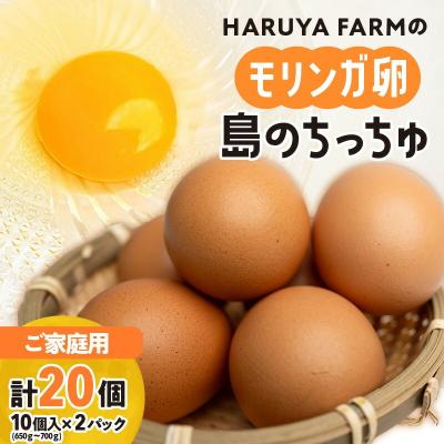 ふるさと納税 和泊町 [ご家庭用]HARUYA FARMのモリンガ卵「島のちっちゅ」