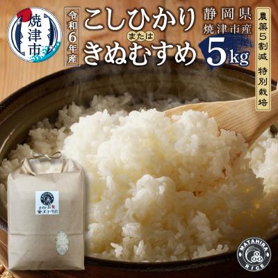 ふるさと納税 焼津市 令和6年産 特別栽培 コシヒカリ または きぬむすめ 白米5kg(a22-056)