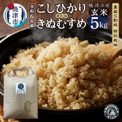 ふるさと納税 焼津市 令和6年産 特別栽培 コシヒカリ または きぬむすめ 玄米 5kg(a22-057)
