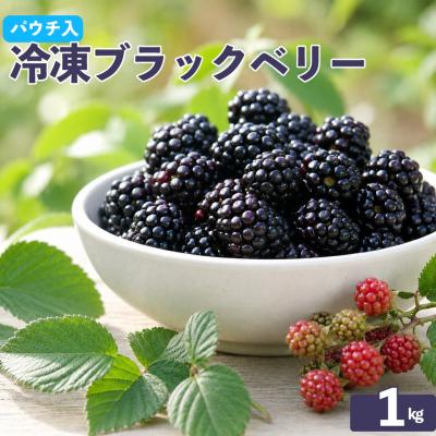 ふるさと納税 佐川町 <冷凍ブラックベリー約1kg>秀品 国産 MIYAMOTO FARM