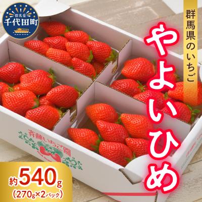ふるさと納税 千代田町 [先行受付]※4月発送※ いちご「 やよいひめ 」約270g×2パック ch002-007-4