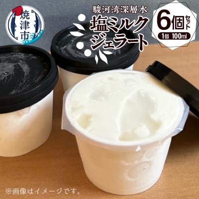 ふるさと納税 焼津市 駿河湾深層水塩ミルクジェラート 100ml×6個セット(a10-1131)
