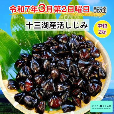 ふるさと納税 つがる市 さとうしじみ屋の十三湖産活しじみ(中粒2kg) [0588]