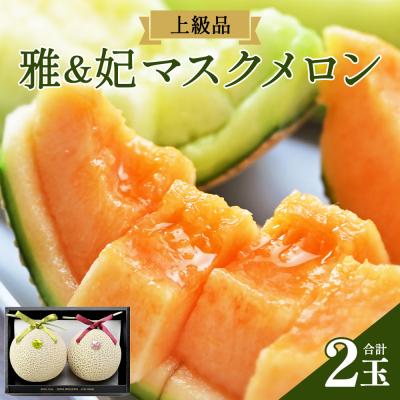 ふるさと納税 香南市 [上級品]赤肉メロン 青肉メロン 合計2玉 tn-0027