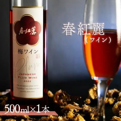 ふるさと納税 南相馬市 春紅麗(ワイン)500ml br003-aa
