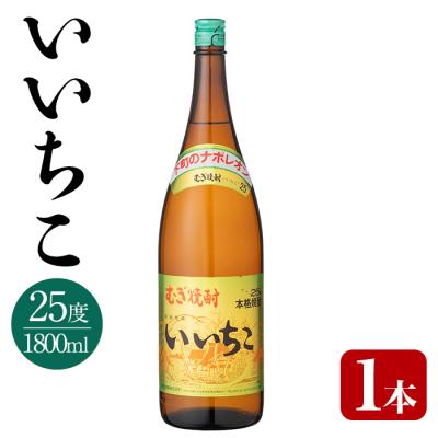 ふるさと納税 宇佐市 いいちこ 25度 ビン 1800ml [106100601][酒のひろた]