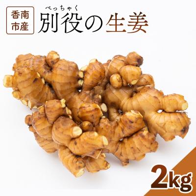 ふるさと納税 香南市 [通年出荷]生姜 2kg 別役の生姜 高知 bc-0014