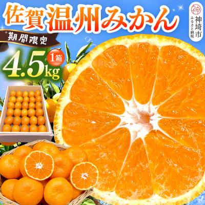 ふるさと納税 神埼市 [令和7年11月下旬より発送]佐賀温州みかん(1箱 4.5kg)(H072107)