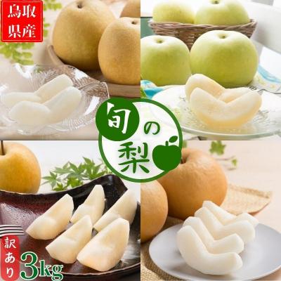 ふるさと納税 八頭町 [数量限定]今シーズン発送![訳あり]鳥取県産旬の梨 3kg <期間限定生産者支援>
